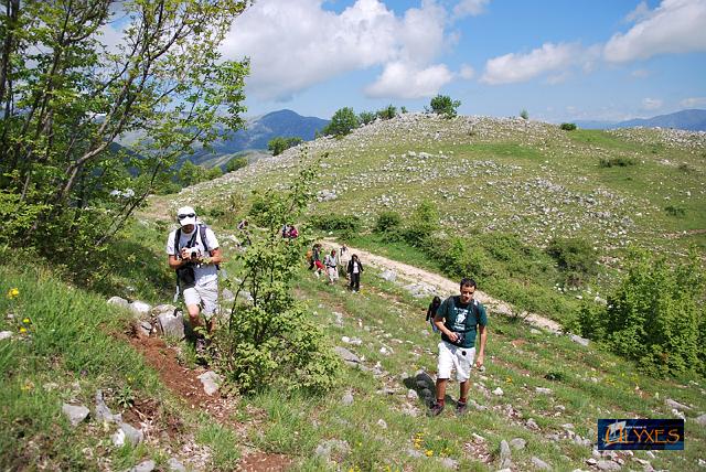 erranti in cerca di orchidee.JPG